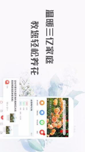 花信下载