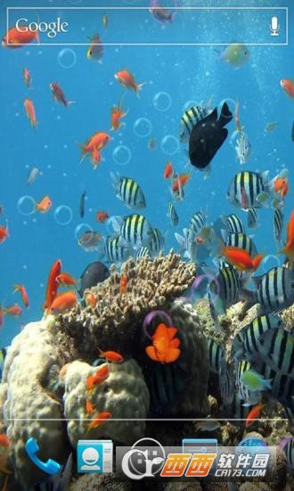 3D海底世界动态壁纸软件下载