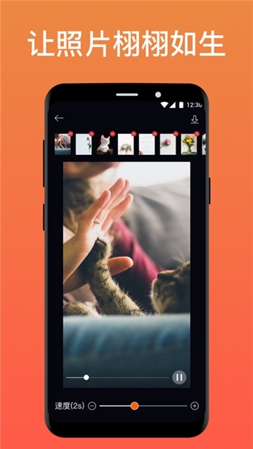 pixaloopapp下载