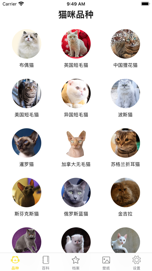 猫猫生活圈下载