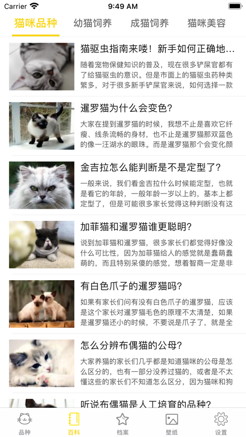 猫猫生活圈下载