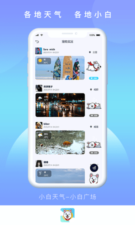 小白天气下载